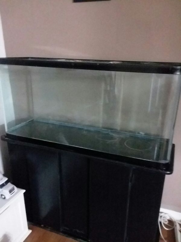 80 gallon fish tank for Sale in Bellflower, CA - OfferUp