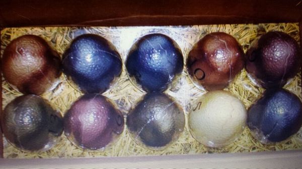 Hallmark Dinotopia Eggs for sale in Palatine