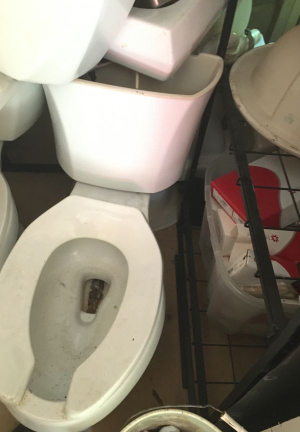 Toilet for Sale in Lincolnton, NC - OfferUp