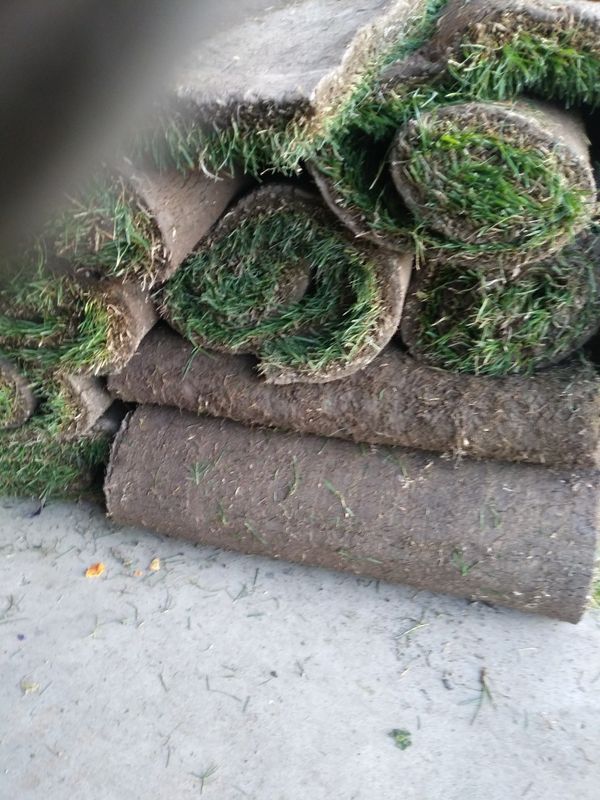 20-rolls-of-bermuda-sod-for-sale-in-phoenix-az-offerup