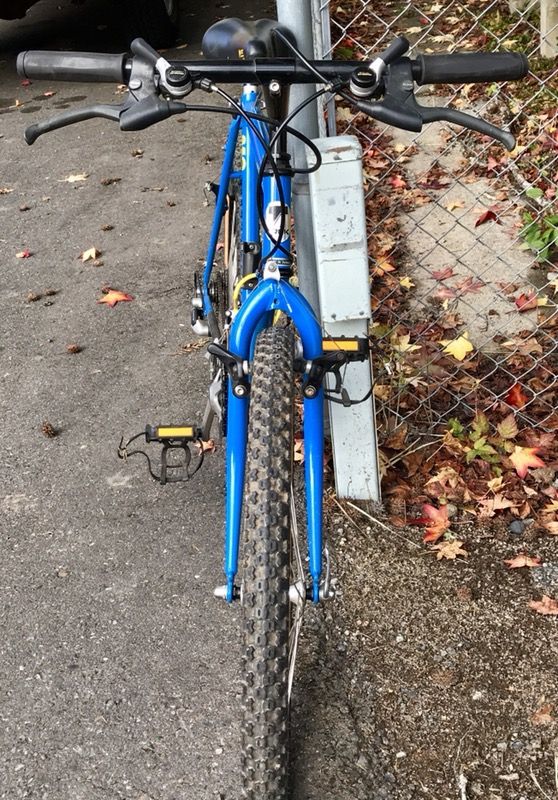 trek antelope mountain bike