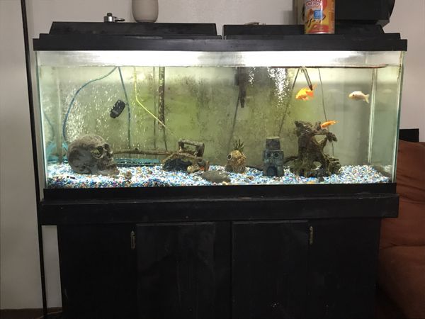 50 gallon fish tank for Sale in Milwaukee, WI - OfferUp