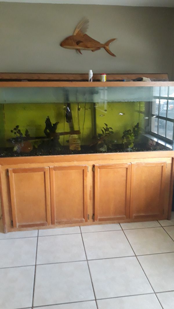 used 20 gallon fish tank