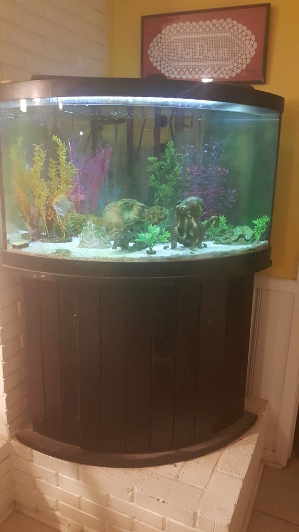55 gallon aquarium for Sale in Fort Worth, TX OfferUp