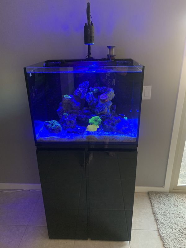 JBJ 45 gallon rimless reef aquarium for Sale in Youngtown, AZ - OfferUp