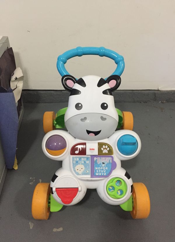zebra push walker