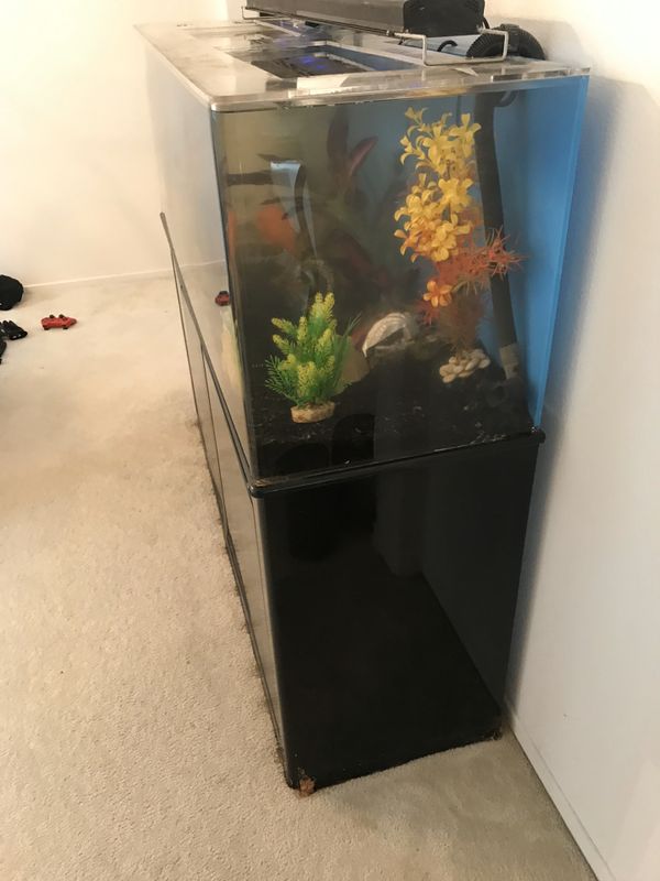 100 gallon acrylic aquarium full set up with stand for Sale in Riverside, CA OfferUp
