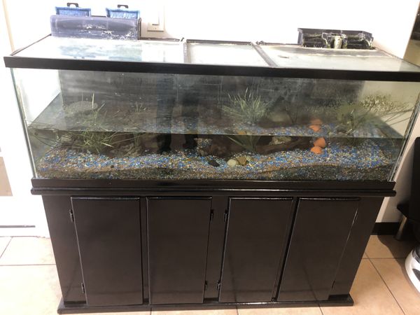 100 gallon Fish tank with full set up for Sale in Dallas, TX - OfferUp