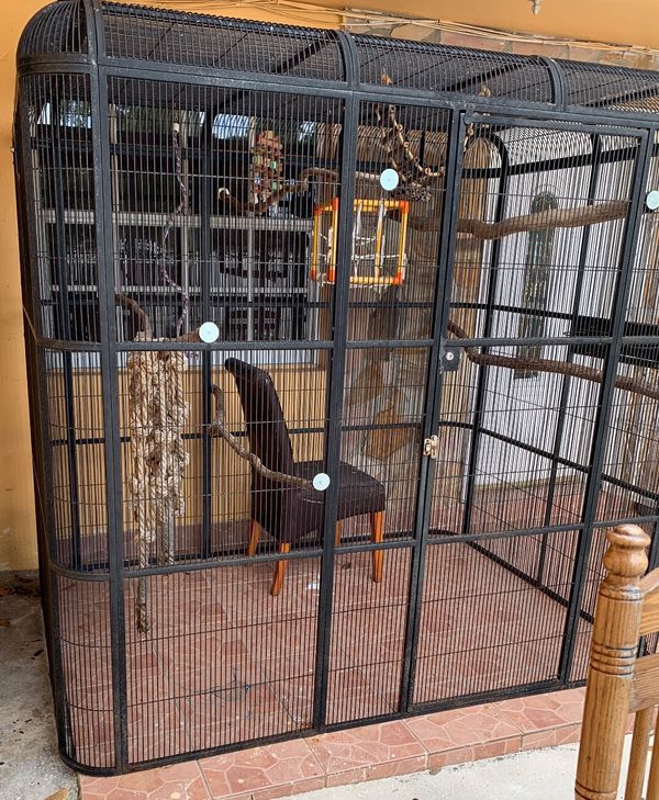 Bird or Monkey cage for Sale in Miami, FL - OfferUp