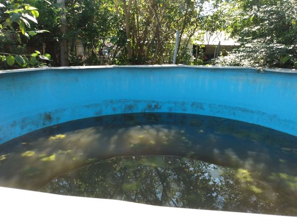 5 foot deep, above ground pool. Comes with filter and pump. If want to ...