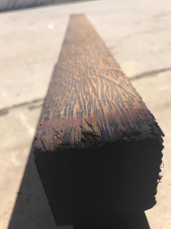 Black palm exotic lumber for Sale in Irvine, CA OfferUp