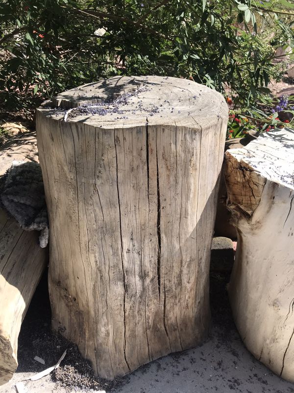 Tree log stump for Sale in Las Vegas, NV OfferUp