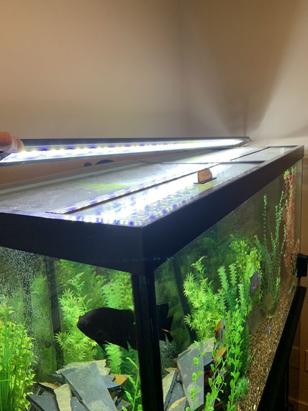 90 gallon fish tank for Sale in Everett, WA - OfferUp