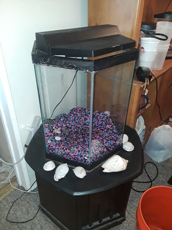 20 GALLON HEXAGON FISH TANK for Sale in Queens, NY OfferUp