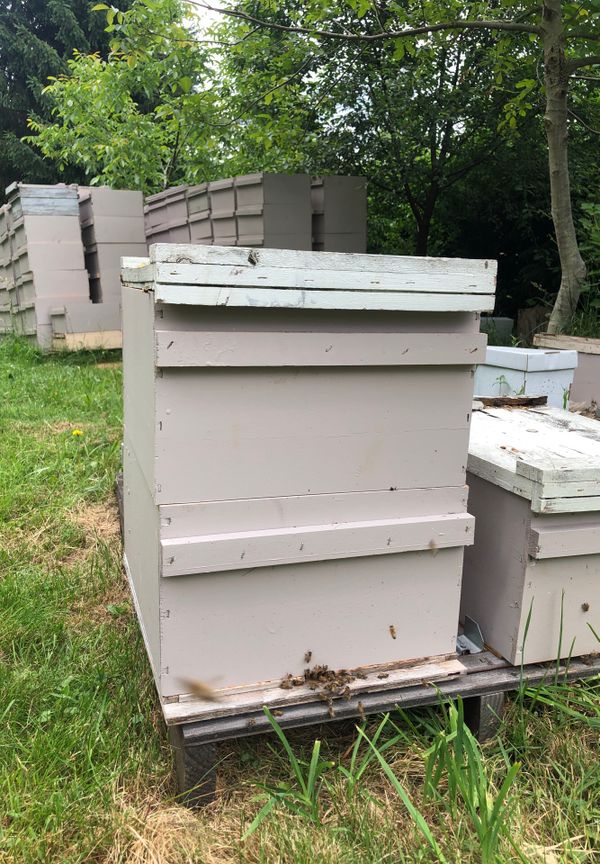 New bee boxes for Sale in Auburn, WA - OfferUp