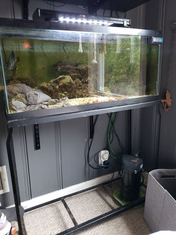 Saltwater Fish Tank 55 Gallon For Sale In Hales Corners, Wi - Offerup