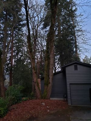 New and Used Free for Sale in Portland, OR - OfferUp