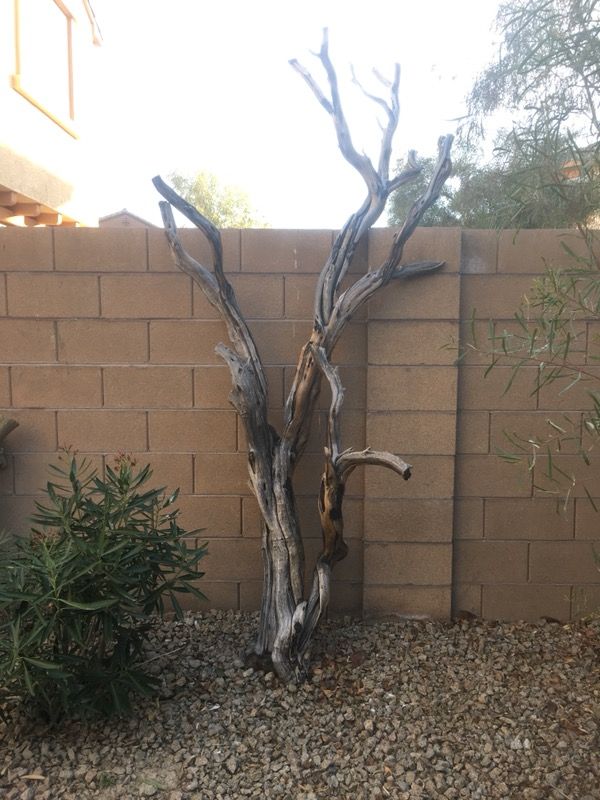 Manzanita wood for Sale in Las Vegas, NV OfferUp