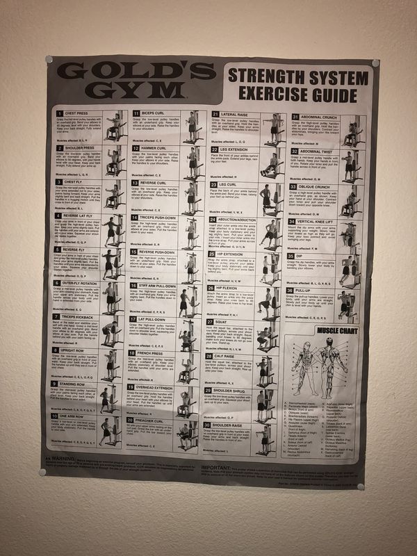 Golds Home Gym Workout Chart