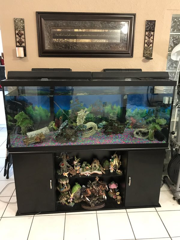 120 Gallon Aquarium for Sale in Miami, FL OfferUp