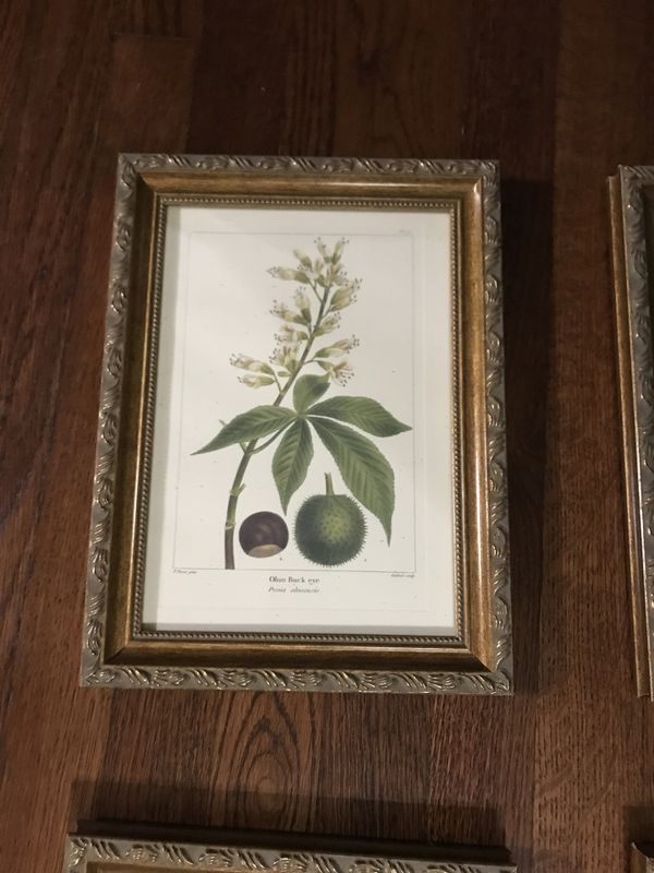 Bombay & Co framed art prints gold guided frame for Sale in San Antonio, TX OfferUp