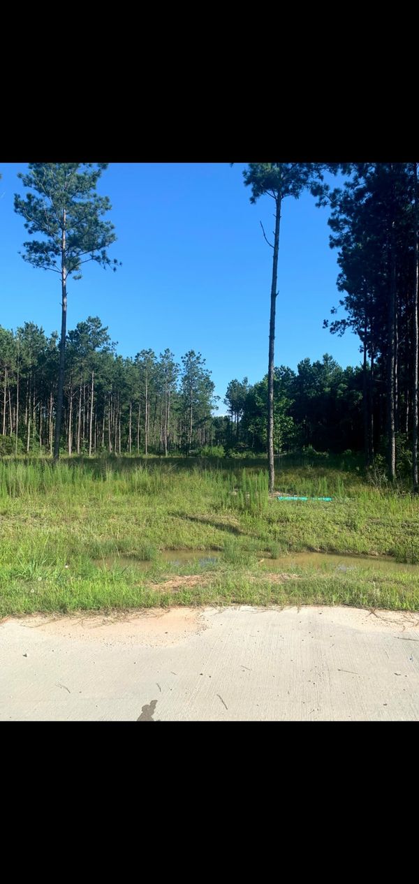 Terrenos for Sale in Houston, TX OfferUp