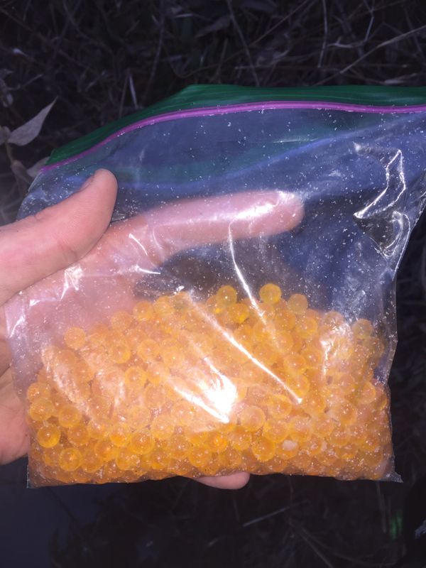 Cured Loose Salmon Eggs for Sale in Crete, IL OfferUp