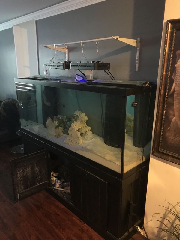 210 gallon fish tank for Sale in Bronx, NY - OfferUp