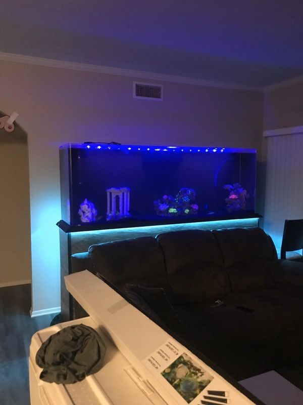 220 gallon acrylic aquarium for Sale in Menifee, CA OfferUp