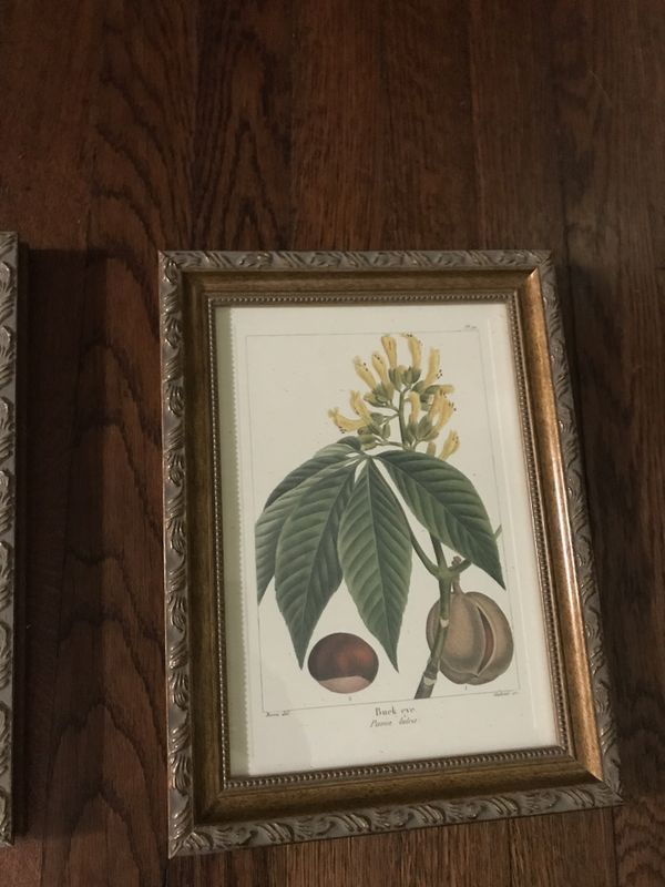 Bombay & Co framed art prints gold guided frame for Sale in San Antonio, TX OfferUp