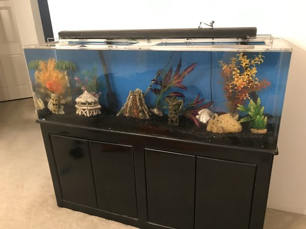 100 gallon acrylic aquarium full set up with stand for Sale in