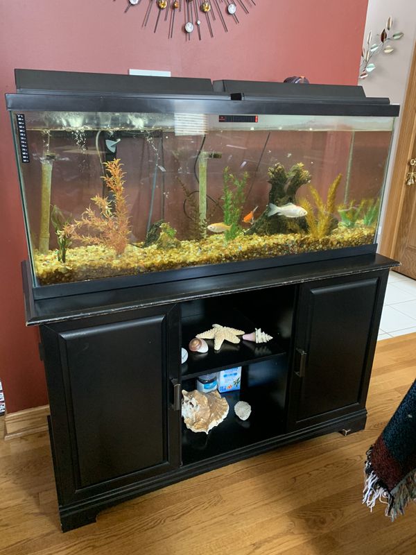 Fish tank 50 gallon for Sale in Orland Park, IL - OfferUp