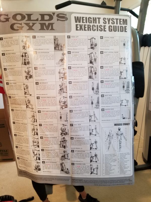 Gold's Gym Xrs 50 Exercise Chart