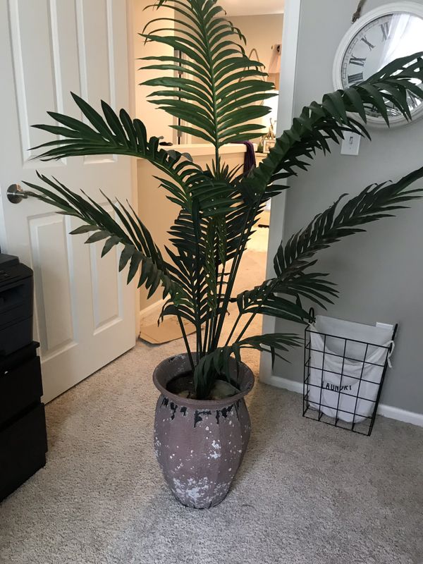 Artificial Plant / trees / Faux plant from homegoods/fake plant/ palm tree for Sale in