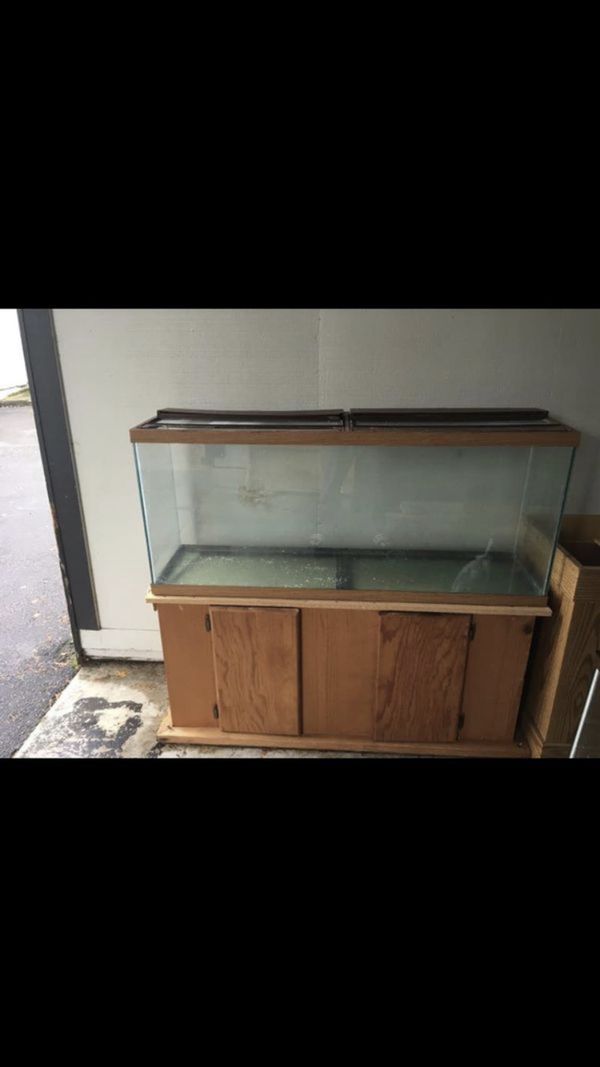 55 gallon long aquarium fish tank for Sale in SeaTac, WA - 81b88D124ea64e74852a895387799a36