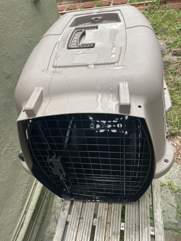 Small dog carrier for Sale in St. Petersburg, FL - OfferUp