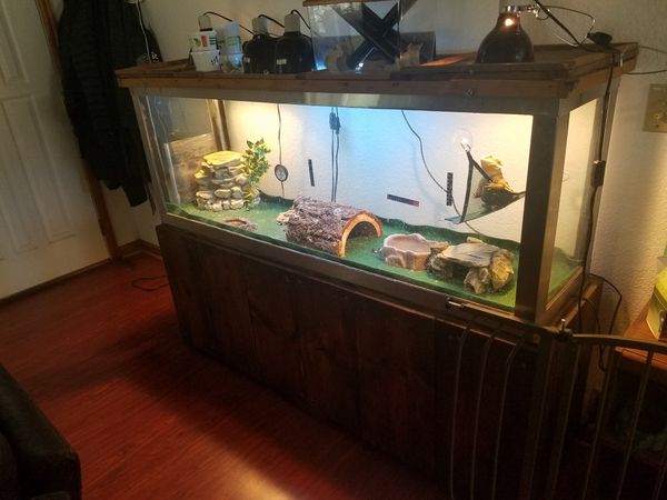 120 gallon bearded dragon tank for Sale in Graham, WA - OfferUp