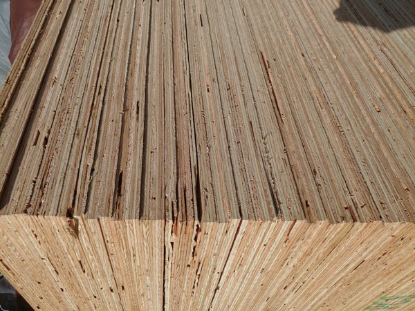1 2 cdx plywood lowes