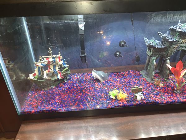 Top Fin 50 Gallon Fish Aquarium for Sale in Crowley, TX - OfferUp