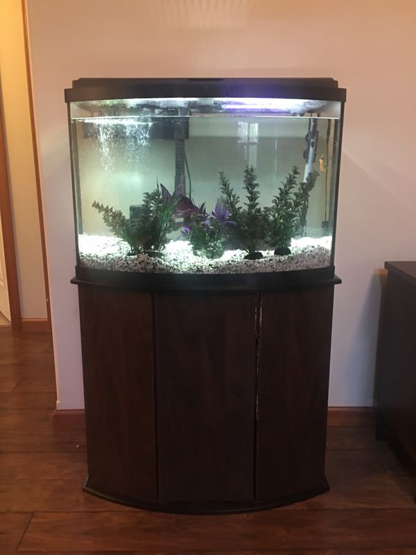 45 gallon Aquarium for Sale in Mount Vernon, WA - OfferUp