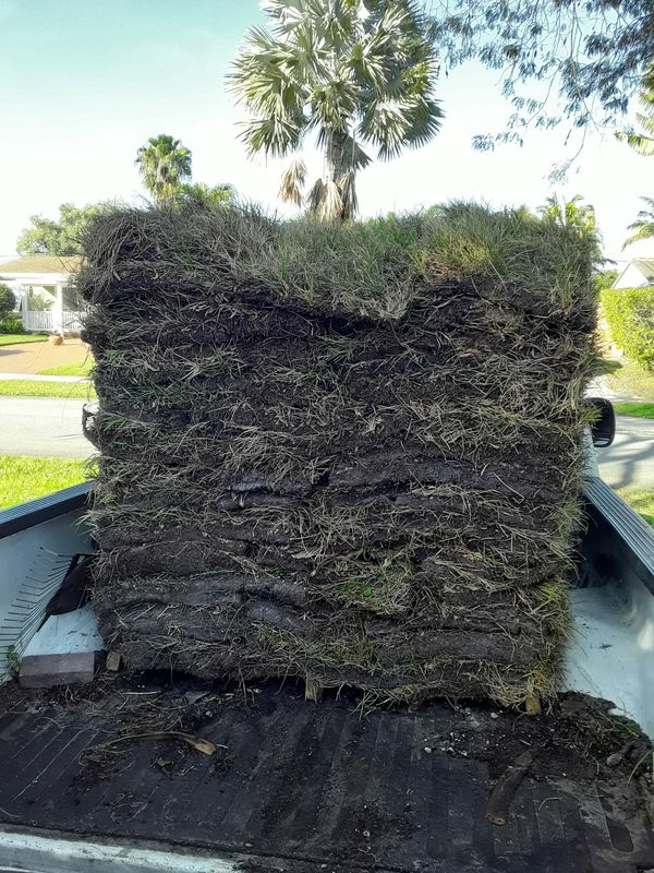 Bahia sod..300 per pallet delivered & installed for Sale in Oakland