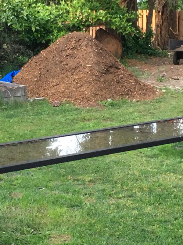 Free wood chips! for Sale in Lacey, WA - OfferUp