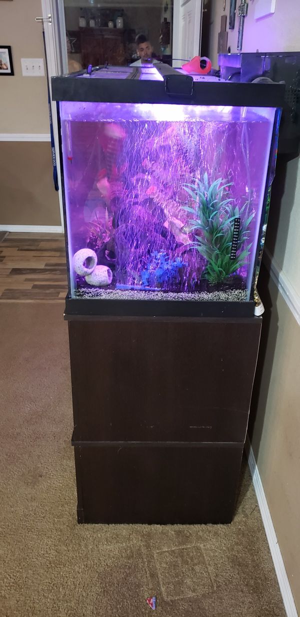75 gallon fish tank aquarium for Sale in Fort Worth, TX OfferUp