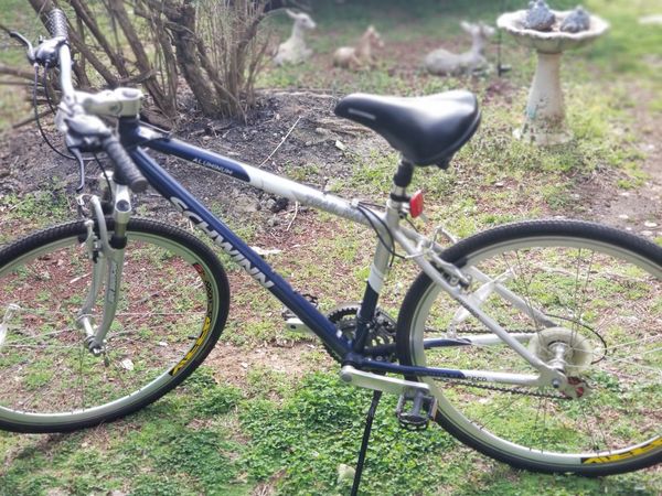 schwinn trail way bike