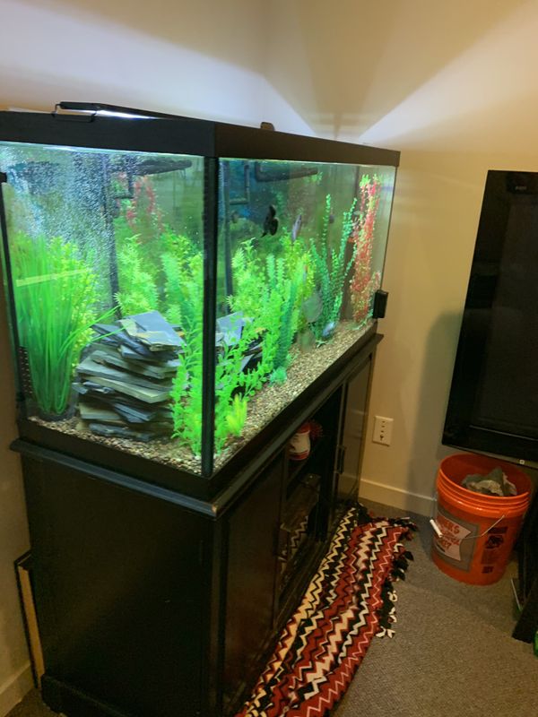 90 gallon fish tank for Sale in Everett, WA - OfferUp