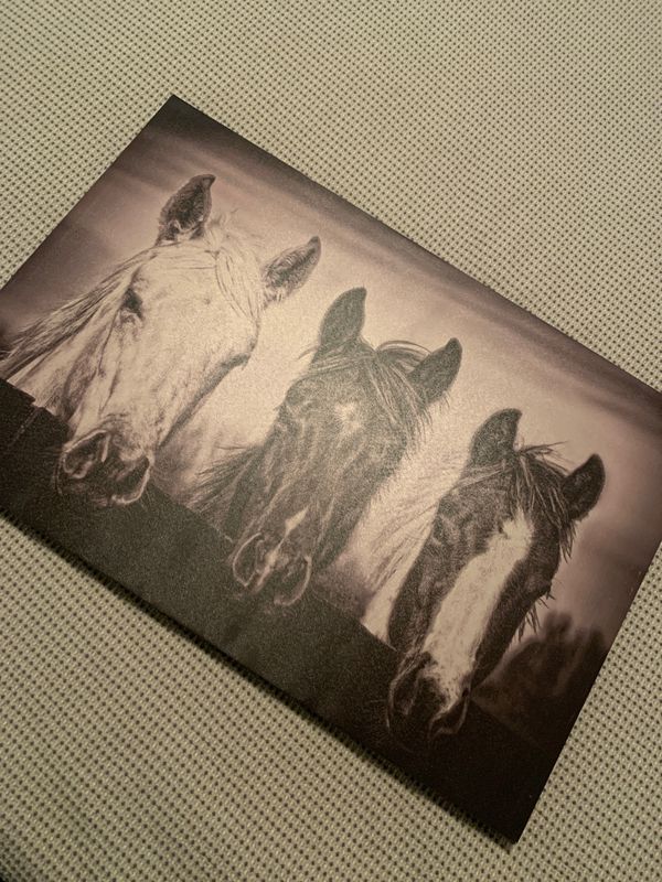 Hobby Lobby horse canvas picture for Sale in Fontana, CA OfferUp