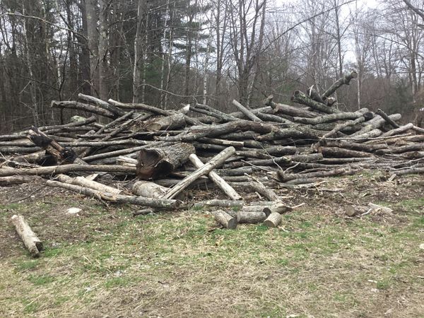 log-length-wood-for-sale-in-hardwick-ma-offerup