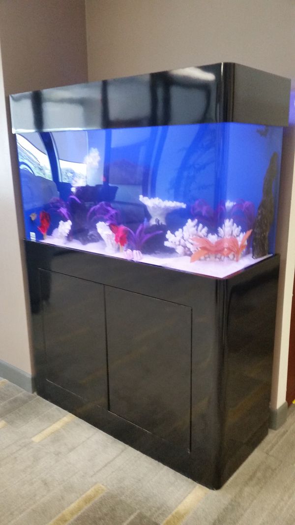 Custom saltwater aquarium complete with everything including fish for