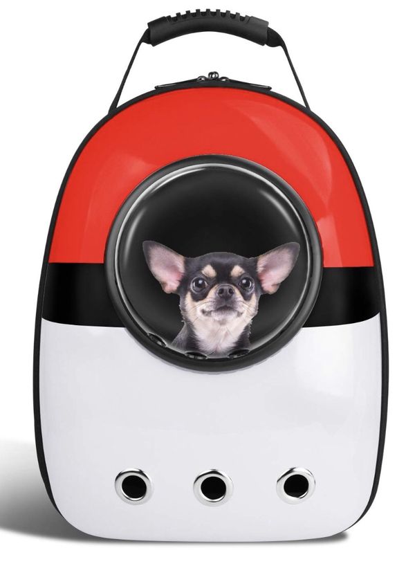 cat backpack pokeball