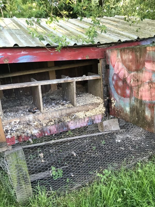 Chicken Coop for Sale in Asheville, NC OfferUp